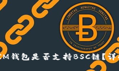 TokenTokenIM钱包是否支持BSC链？详解及使用指南