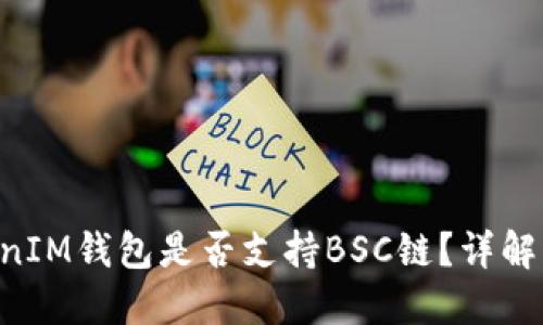 TokenTokenIM钱包是否支持BSC链？详解及使用指南