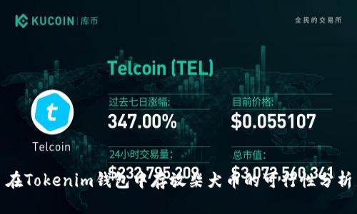在Tokenim钱包中存放柴犬币的可行性分析