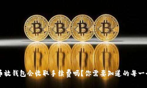 虚拟币放钱包会收取手续费吗？你需要知道的每一个细节