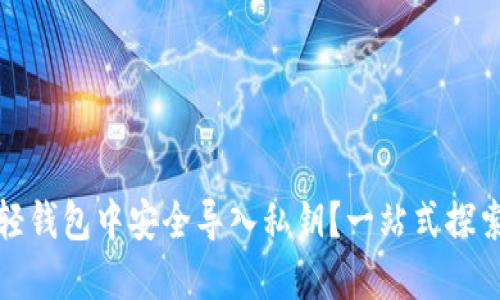 如何在比特币轻钱包中安全导入私钥？一站式探索轻钱包的秘密