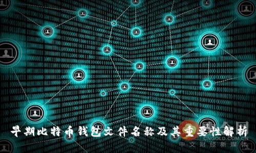 早期比特币钱包文件名称及其重要性解析