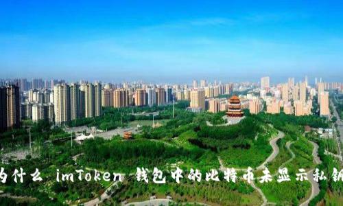 为什么 imToken 钱包中的比特币未显示私钥？