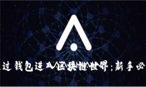 如何通过钱包进入区块链世界：新手必备指南