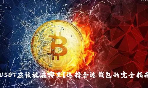 USDT应该放在哪里？选择合适钱包的完全指南