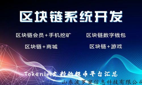 Tokenim支持的提币平台汇总