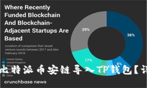 如何将比特派币安链导入TP钱包？详细指南
