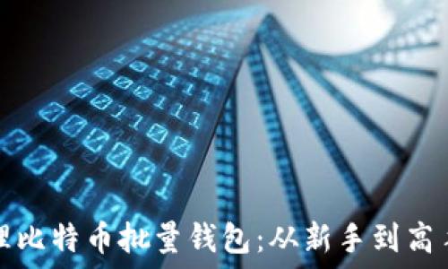   
如何选择和管理比特币批量钱包：从新手到高手的全方位指南