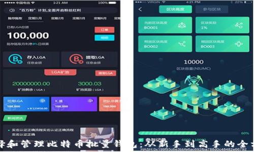   
如何选择和管理比特币批量钱包：从新手到高手的全方位指南