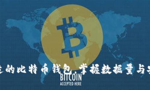 如何选择合适的比特币钱包，掌握数据量与安全性的平衡