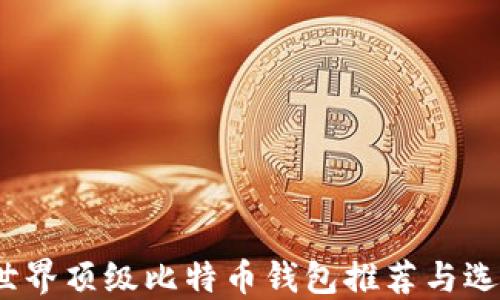 
揭秘：世界顶级比特币钱包推荐与选择指南