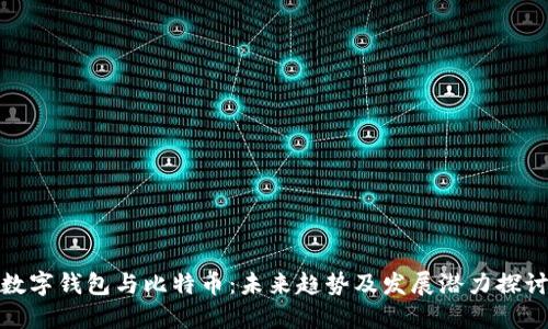 数字钱包与比特币：未来趋势及发展潜力探讨