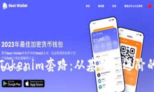 深入了解Tokenim套路：从基础到进阶的全面解析