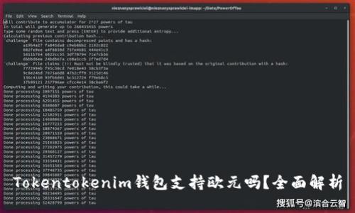 Tokentokenim钱包支持欧元吗？全面解析