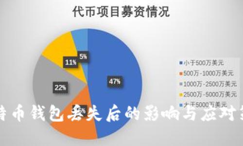 比特币钱包丢失后的影响与应对策略