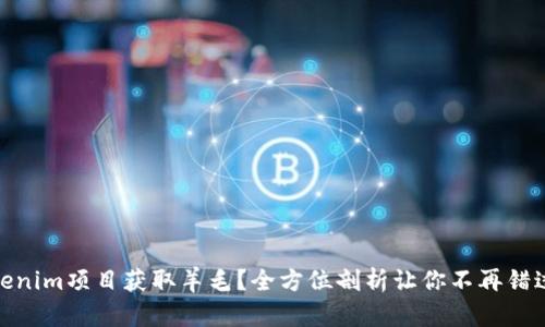如何利用Tokenim项目获取羊毛？全方位剖析让你不再错过每一个机会