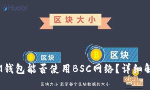TokenTokenIM钱包能否使用BSC网络？详细解析与用户指南