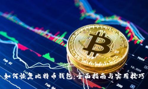 如何恢复比特币钱包：全面指南与实用技巧