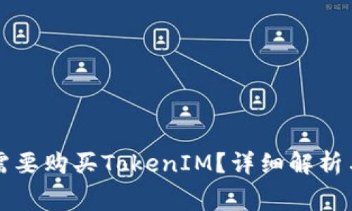 是否需要购买TokenIM？详细解析与费用