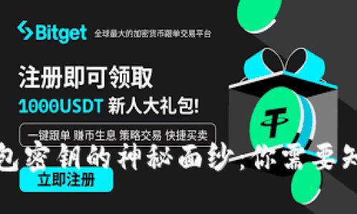 比特币钱包密钥的神秘面纱：你需要知道的一切