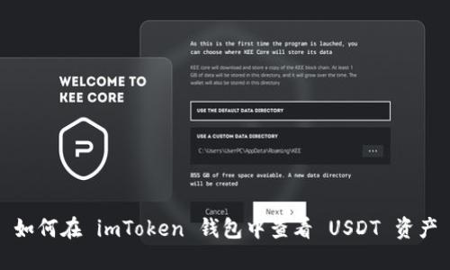 如何在 imToken 钱包中查看 USDT 资产