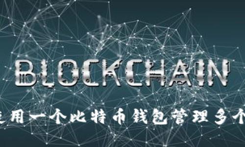 如何使用一个比特币钱包管理多个地址？