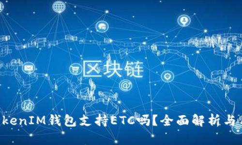TokenTokenIM钱包支持ETC吗？全面解析与用户指南