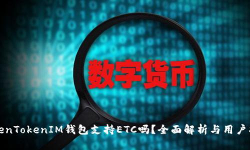 TokenTokenIM钱包支持ETC吗？全面解析与用户指南