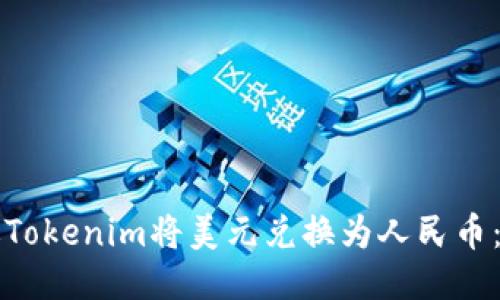如何通过Tokenim将美元兑换为人民币：全面指南