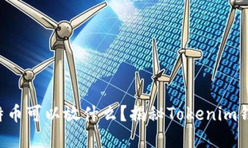 想知道莱特币可以放什么？揭秘Tokenim钱包的秘密！