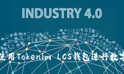 如何安全使用Tokenim LCS钱包进行数字资产管理