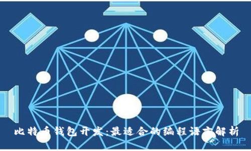 比特币钱包开发：最适合的编程语言解析