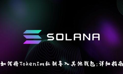 如何将TokenIm私钥导入其他钱包：详细指南