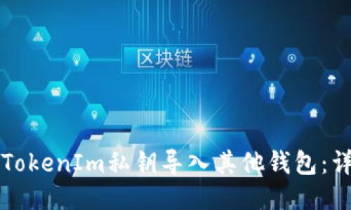 如何将TokenIm私钥导入其他钱包：详细指南