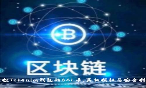 空投Tokenim钱包的BAL币：真相揭秘与安全指南