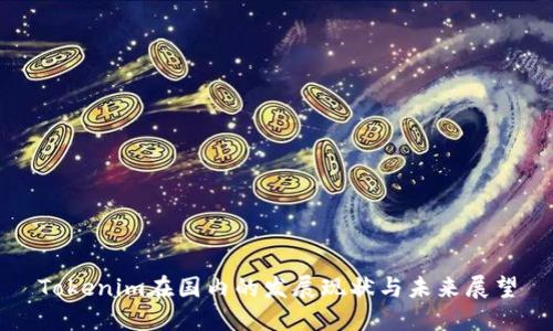 Tokenim在国内的发展现状与未来展望