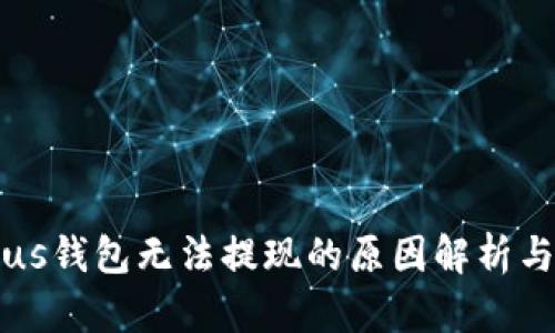 比特币Plus钱包无法提现的原因解析与解决方法