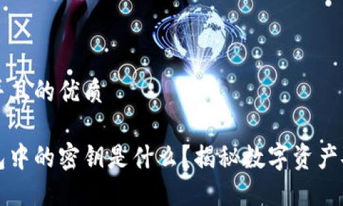 思考一个并且的优质

区块链钱包中的密钥是什么？揭秘数字资产安全的秘密