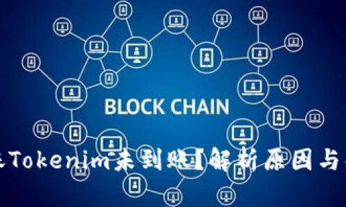 火币转账Tokenim未到账？解析原因与解决方案