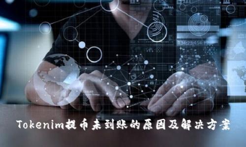 Tokenim提币未到账的原因及解决方案