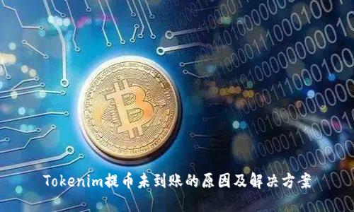 Tokenim提币未到账的原因及解决方案