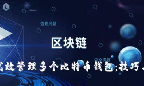 如何高效管理多个比特币钱包：技巧与策略