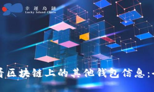 如何查看区块链上的其他钱包信息：全面指南