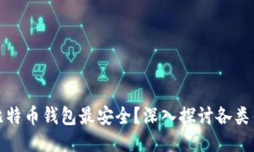 : 究竟哪种比特币钱包最安全？深入探讨各类钱包的优缺点