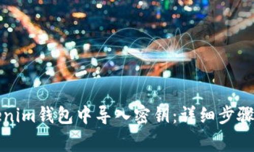 如何在Tokenim钱包中导入密钥：详细步骤和注意事项