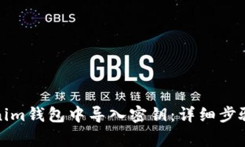 如何在Tokenim钱包中导入密钥：详细步骤和注意事项