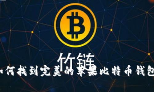 如何找到完美的苹果比特币钱包？