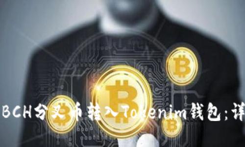 如何将BCH分叉币转入Tokenim钱包：详细指南