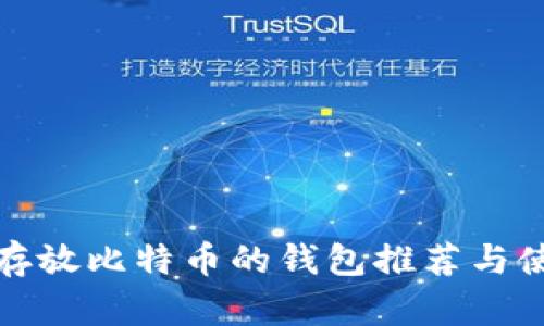 最适合存放比特币的钱包推荐与使用指南