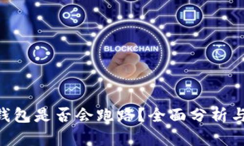 Tokenim钱包是否会跑路？全面分析与风险评估